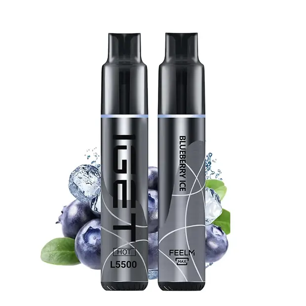 Blueberry Ice – IGET HOT 5500 Puffs disposable vape Australia