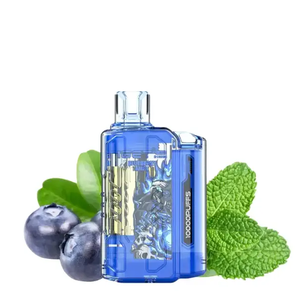 Blueberry Mint – IGET Flare B10000 Puffs disposable vape Australia