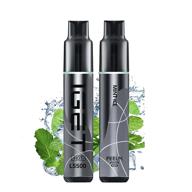 Mint Ice – IGET HOT 5500 Puffs disposable vape Australia