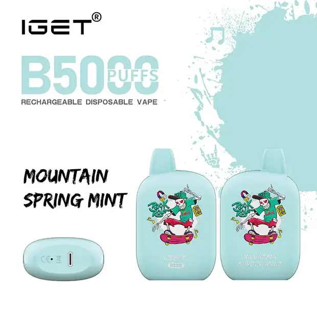 Mountain Spring Mint – IGET B5000 disposable vape Australia
