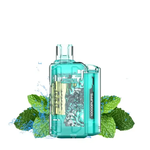 Mountain Spring Mint – IGET Flare B10000 Puffs disposable vape Australia
